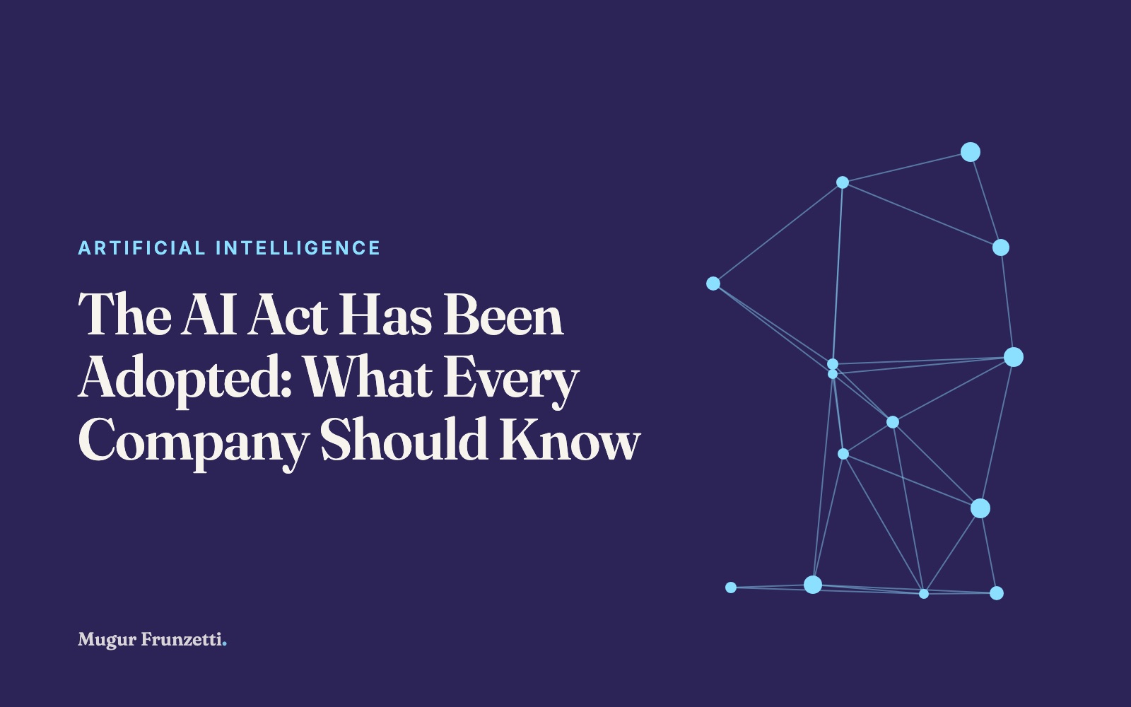 The AI Act Has Been Adopted: What Every Company Should Know
